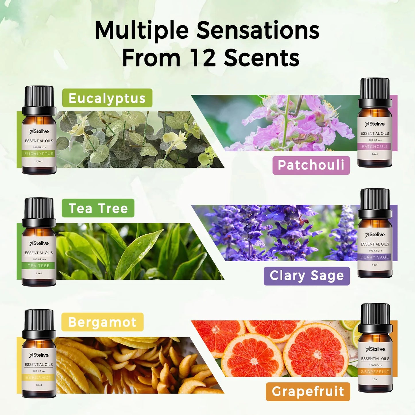 Essential Oils Gift Set