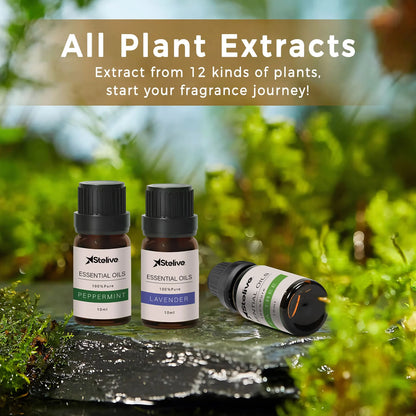 Essential Oils Gift Set
