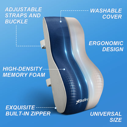 Ergonomic Back Cushion