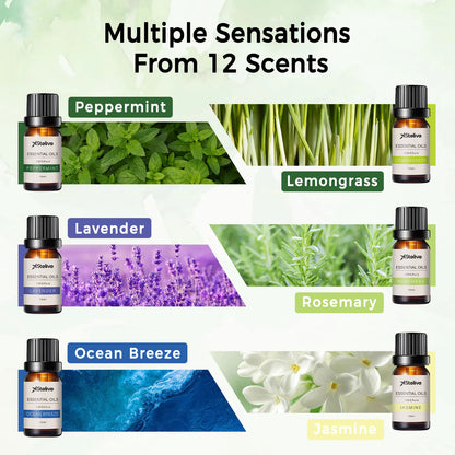 Essential Oils Gift Set