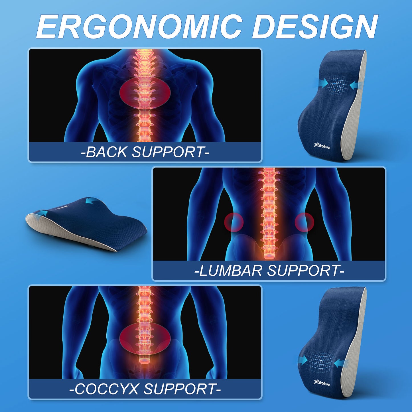 Ergonomic Back Cushion