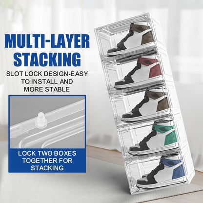 6 Pack Shoe Display Box